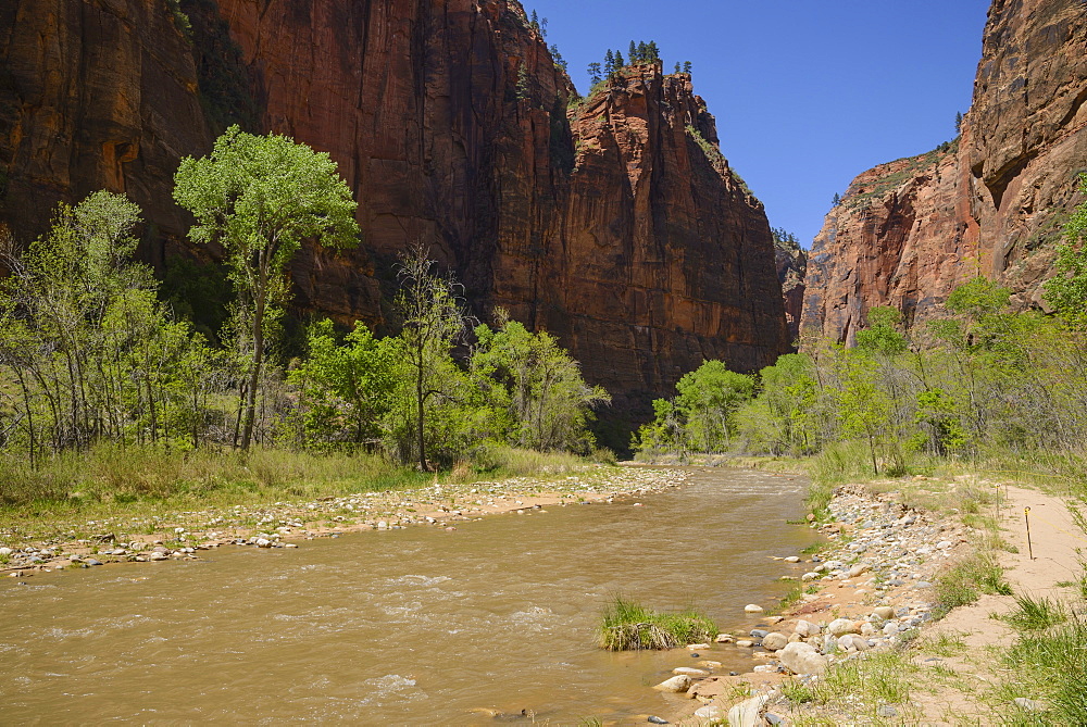 Virgin River, Zion National Park, Utah, United States of America, North America