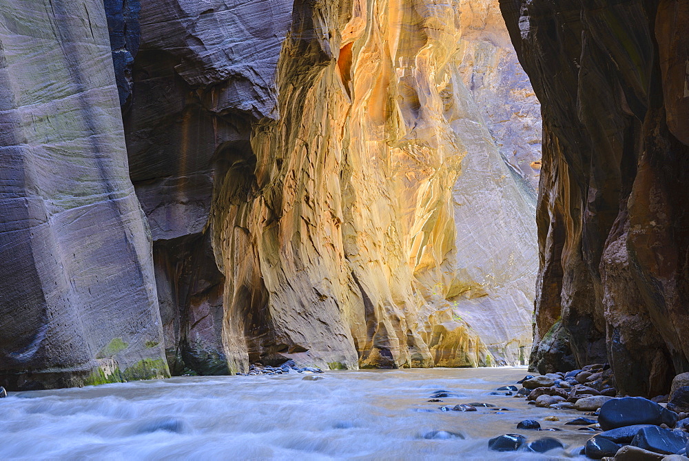 Virgin River Narrows, Zion National Park, Utah, United States of America, North America