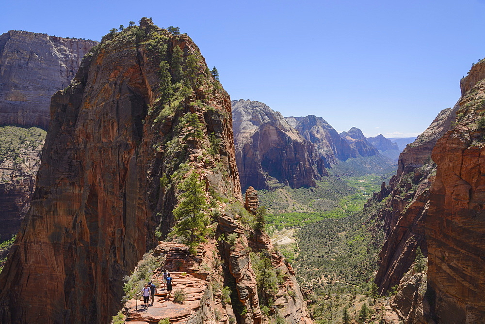 Trail to Angels Landing, Zion National Park, Utah, United States of America, North America