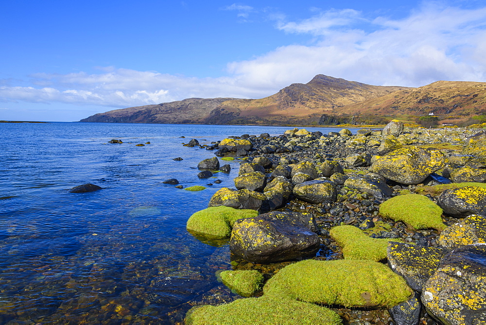 Loch Buie, Isle of Mull, Inner Hebrides, Argyll and Bute, Scotland, United Kingdom, Europe