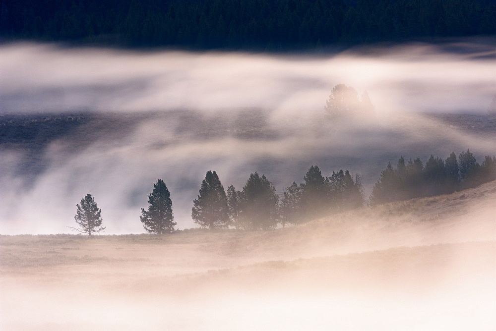 Misty dawn over Hayden Valley, Yellowstone National Park, UNESCO World Heritage Site, Wyoming, United States of America, North America