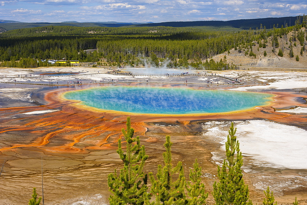 Grand Prismatic Spring, Midway Geyser Basin, Yellowstone National Park, UNESCO World Heritage Site, Wyoming, United States of America, North America