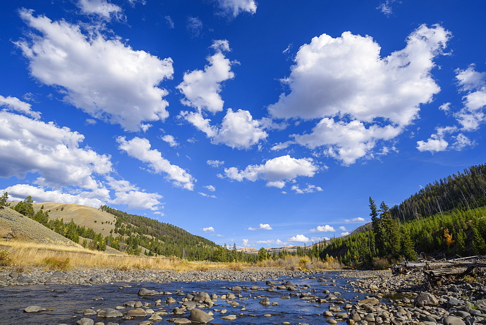 Cache Creek, Yellowstone National Park, UNESCO World Heritage Site, Wyoming, United States of America, North America