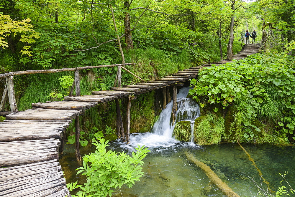 Boardwalk, Plitvice Lakes National Park, UNESCO World Heritage Site, Croatia, Europe