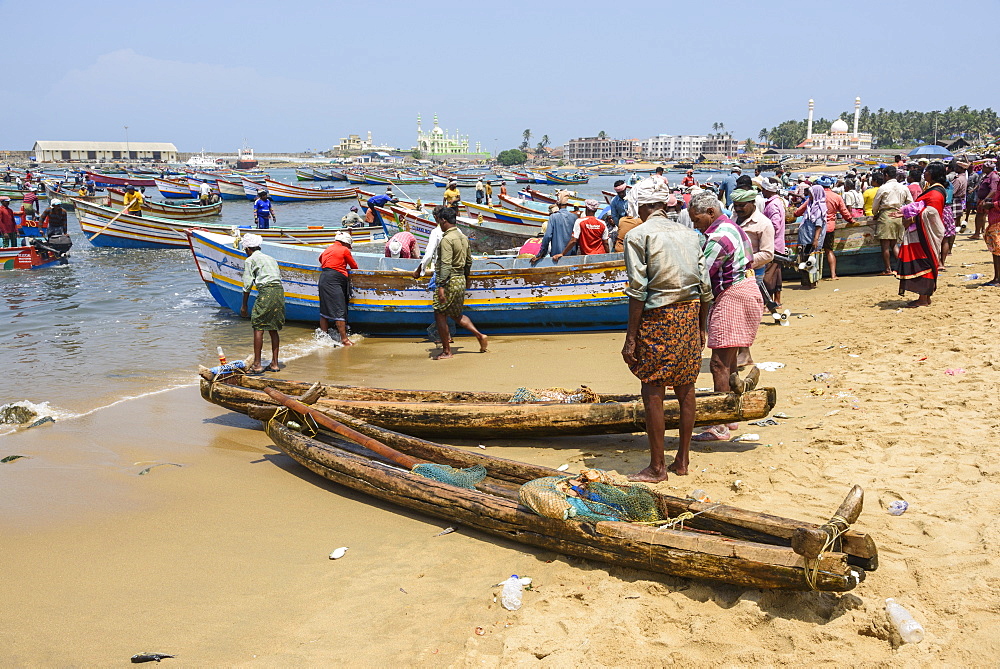 Fishing boats at Vizhinjam beach fish market, near Kovalam, Kerala, India, South Asia