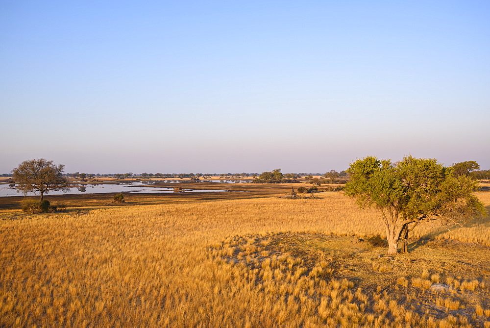 Aerial view of the Okavango Delta seen from a hot air balloon ride, Bushman Plains, Okavango Delta, Botswana, Africa