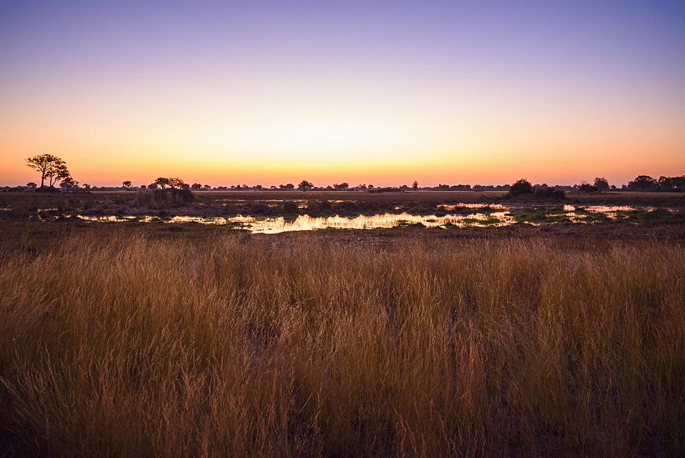 Sunset over the Bushman Plains, Okavango Delta, Botswana, Africa