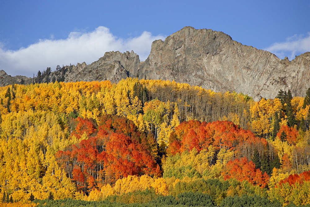 The Dyke with fall colors, Grand Mesa-Uncompahgre-Gunnison National Forest, Colorado, United States of America, North America