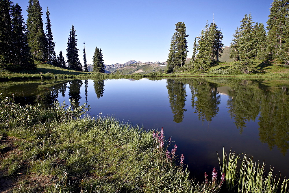 Paradise Divide, Grand Mesa-Uncompahgre-Gunnison National Forest, Colorado, United States of America, North America