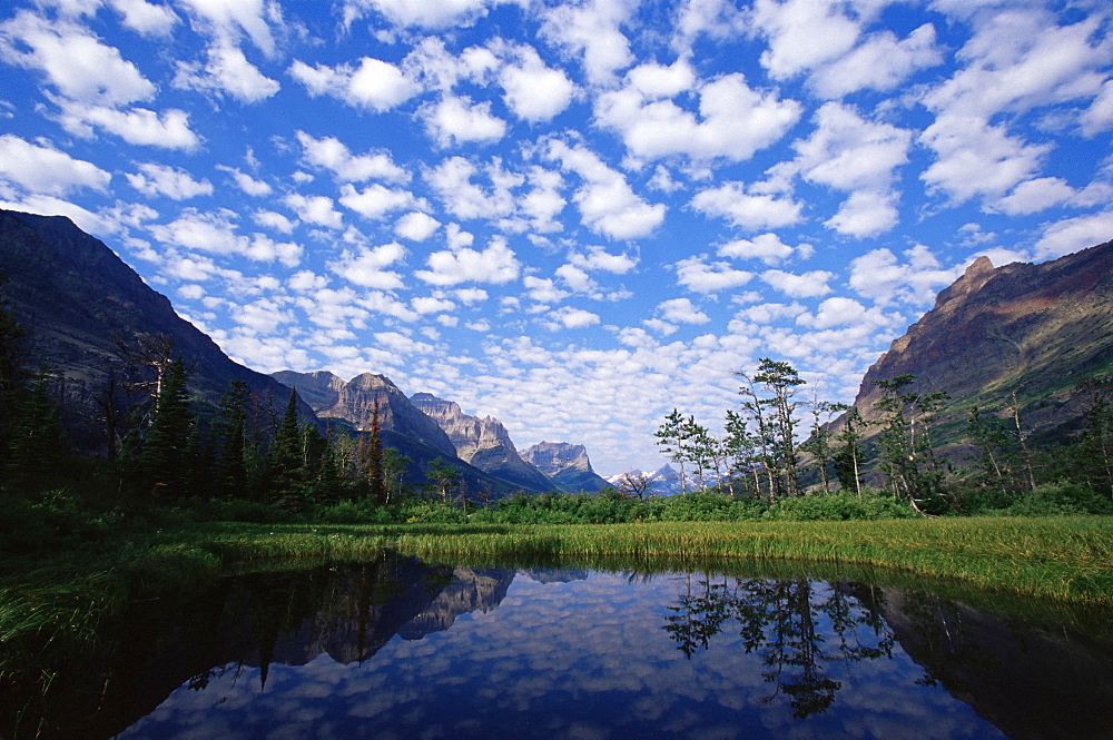 Pond next to St. Mary Lake, Glacier National Park, Montana, United States of America, North America