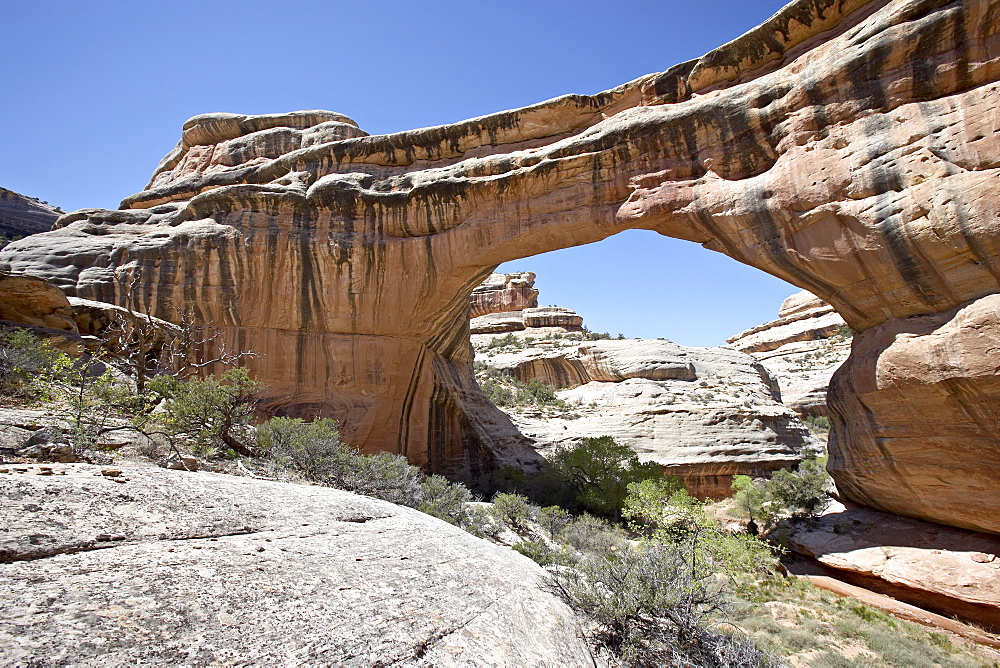 Sipapu Natural Bridge, Natural Bridges National Monument, Utah, United States of America, North America