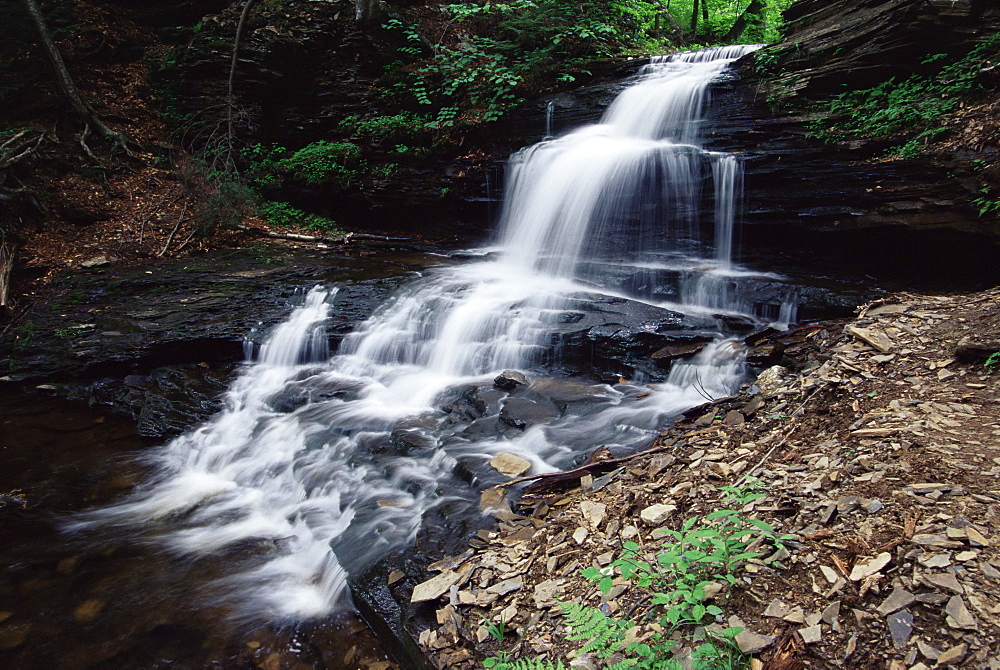 Waterfall, Ricketts Glen State Park, Pennsylvania, United States of America, North America