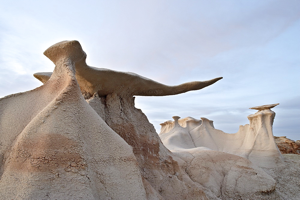 The Stone Wings formations at dusk, Bisti Wilderness, New Mexico, United States of America, North America