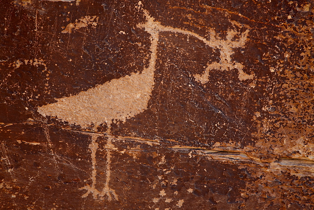 Bird petroglyph, Petrified Forest National Park, Arizona, United States of America, North America