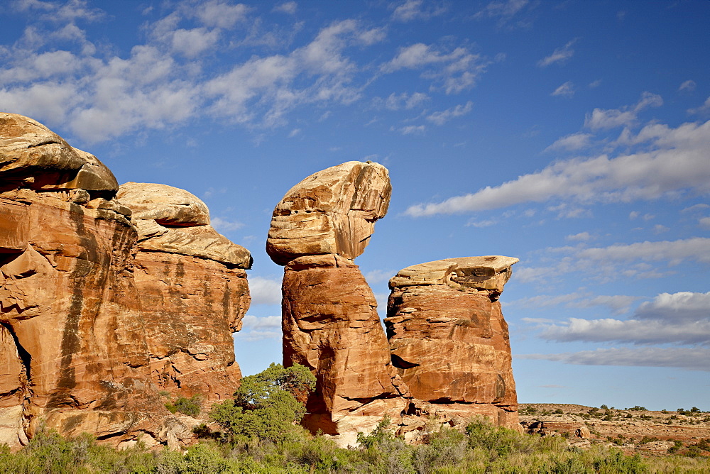 Rock formation with clouds, The Needles District, Canyonlands National Park, Utah, United States of America, North America