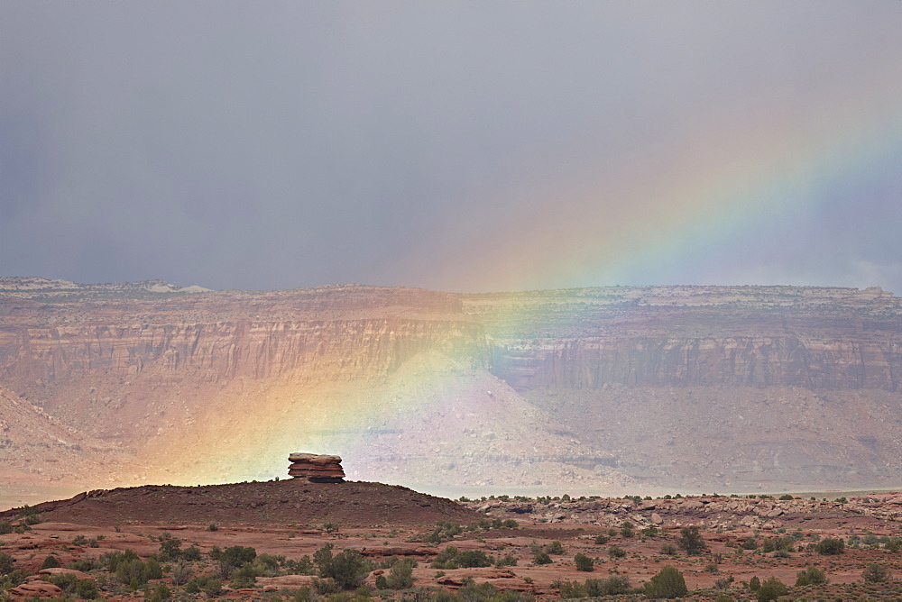 Rainbow, Canyon Country, Utah, United States of America, North America