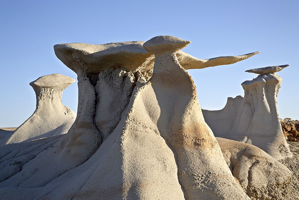 Bisti Wing, Bisti Wilderness, New Mexico, United States of America, North America