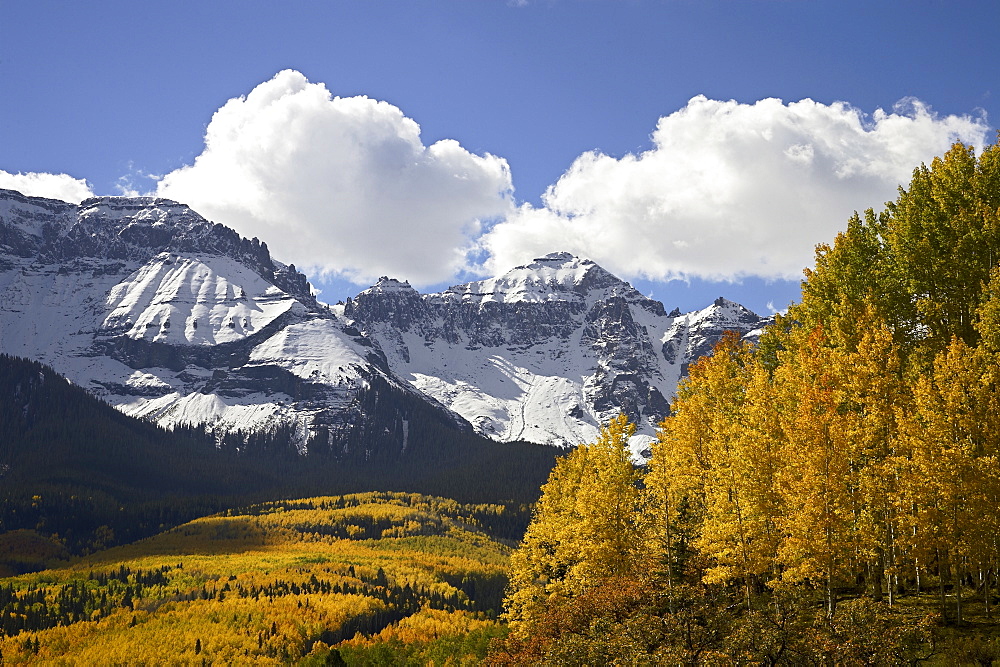 Sneffels Range with fall colors, near Ouray, Colorado, United States of America, North America