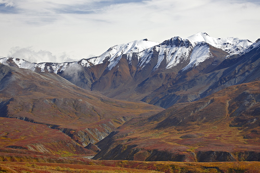 Snow-capped mountains and tundra in fall color, Denali National Park and Preserve, Alaska, United States of America, North America