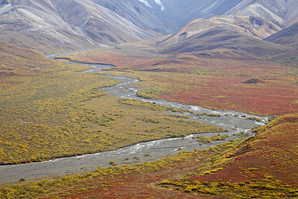 Braided river in the fall, Denali National Park and Preserve, Alaska, United States of America, North America