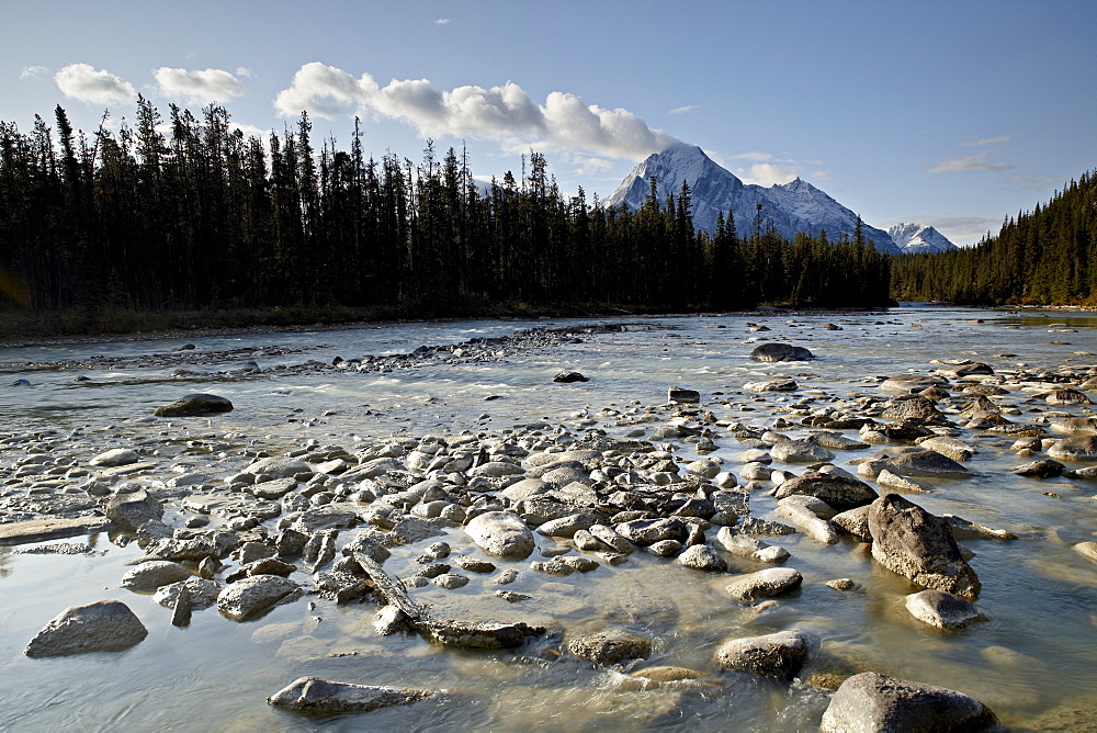 Whirlpool River, Jasper National Park, UNESCO World Heritage Site, Alberta, Canada, North America