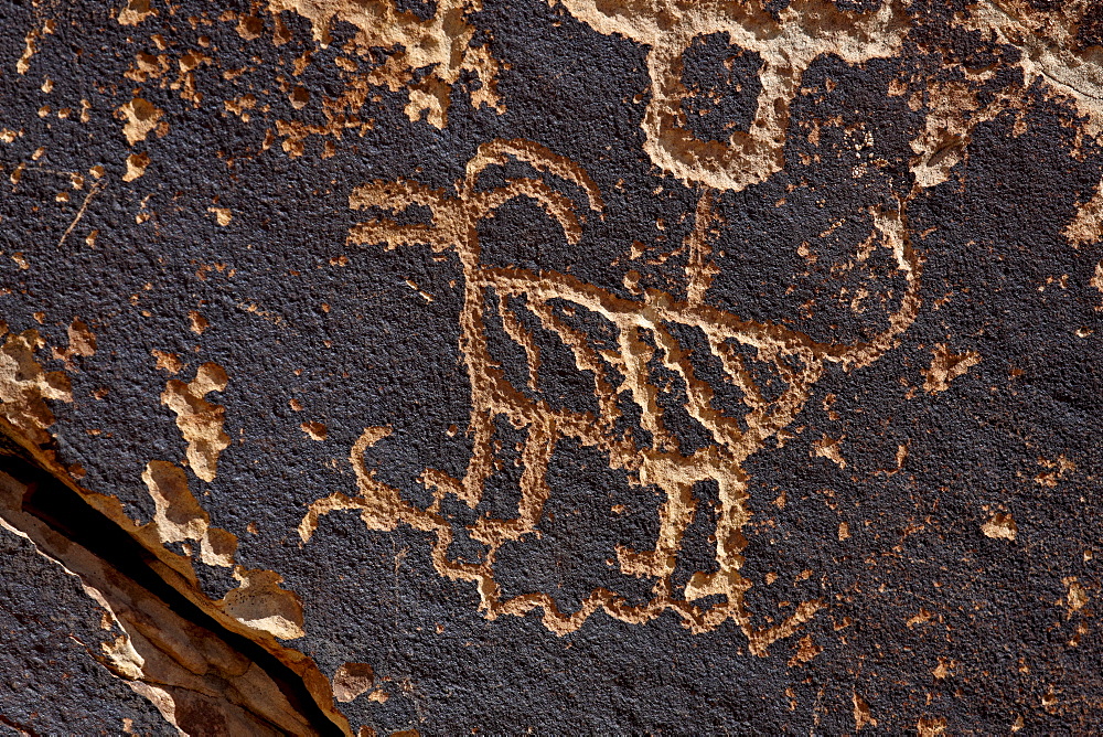 Bighorn sheep petroglyph, Petrified Forest National Park, Arizona, United States of America, North America