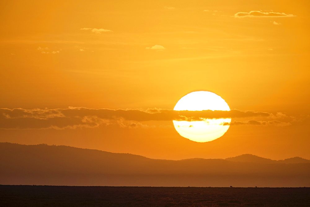 Sunrise, Serengeti National Park, Tanzania, East Africa, Africa 