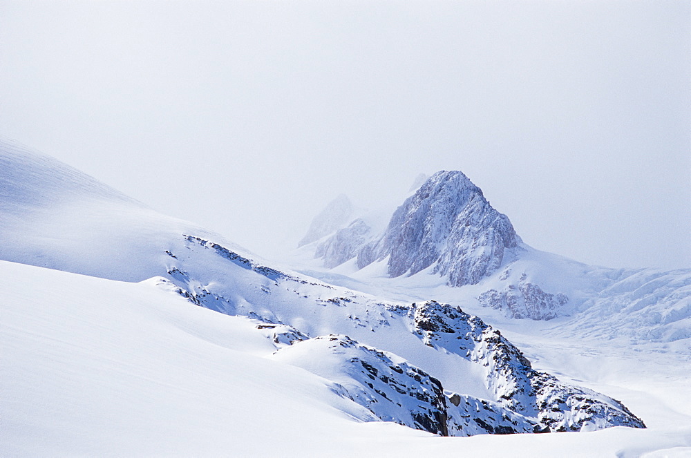 The Southern Alps, near the Fox Glacier, South Island, New Zealand, Pacific