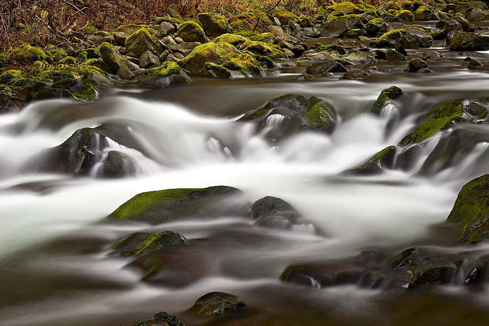 Cascades through moss-covered boulders, Olympic National Park, Washington State, United States of America, North America