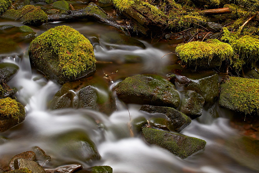 Cascades through moss-covered boulders, Olympic National Park, Washington State, United States of America, North America