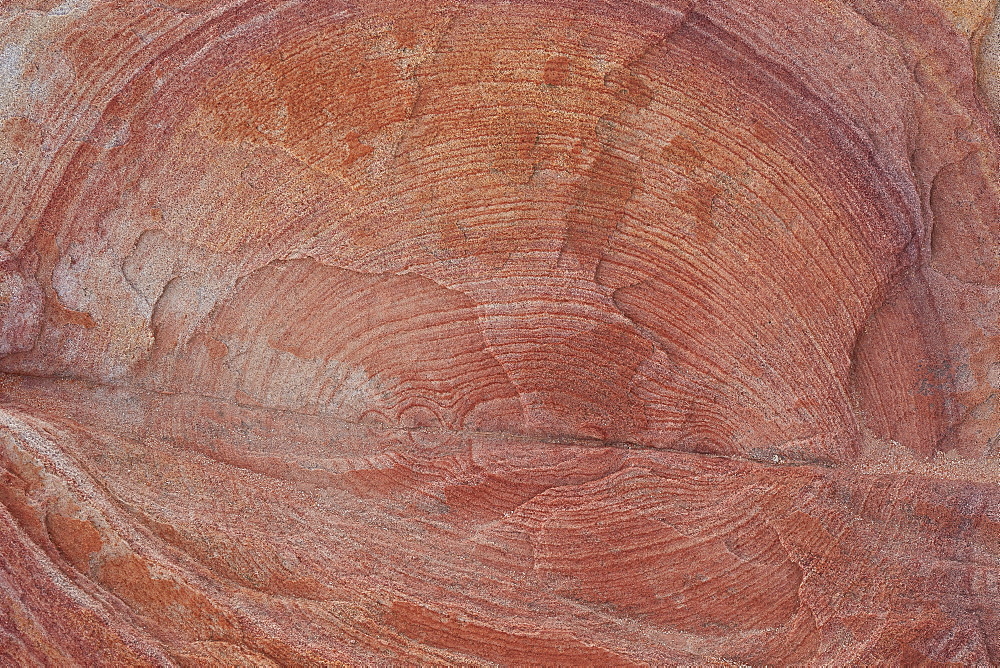 Detail of sandstone with circular rings, Valley of Fire State Park, Nevada, United States of America, North America