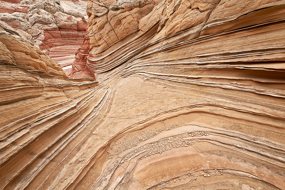 Layers of tan sandstone, White Pocket, Vermilion Cliffs National Monument, Arizona, United States of America, North America