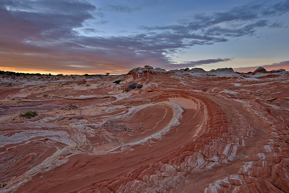 Swirl in white and salmon sandstone at dawn, White Pocket, Vermilion Cliffs National Monument, Arizona, United States of America, North America