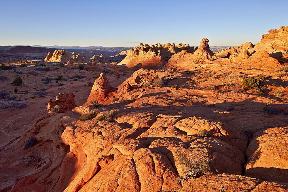 Sandstone formations, Coyote Buttes Wilderness, Vermilion Cliffs National Monument, Arizona, United States of America, North America