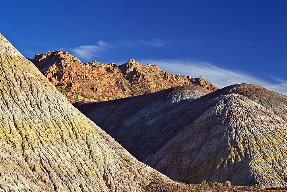 Badlands with yellow, tan, and purple dirt, Vermilion Cliffs National Monument, Arizona, United States of America, North America