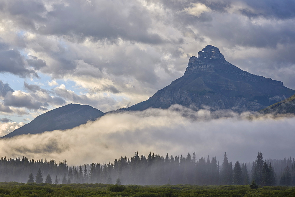 Foggy meadow under clouds, Banff National Park, UNESCO World Heritage Site, Alberta, Rocky Mountains, Canada, North America