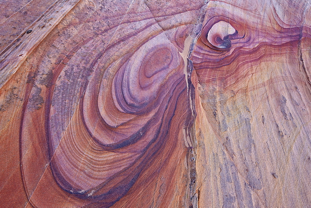 Purple loops in sandstone, Coyote Buttes Wilderness, Vermilion Cliffs National Monument, Arizona, United States of America, North America