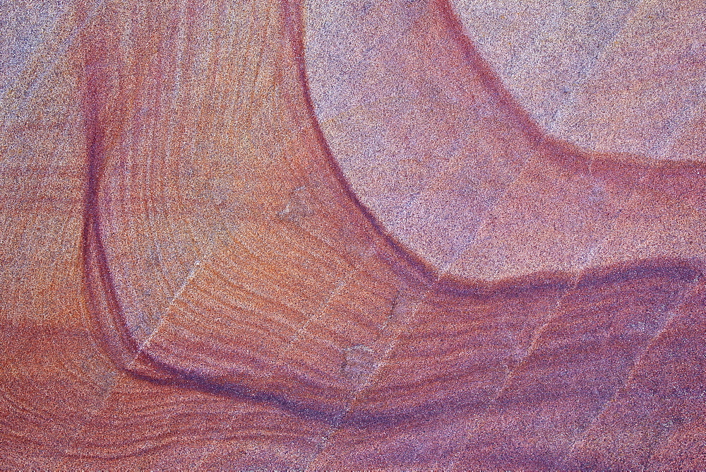 Purple stains in sandstone, Coyote Buttes Wilderness, Vermilion Cliffs National Monument, Arizona, United States of America, North America