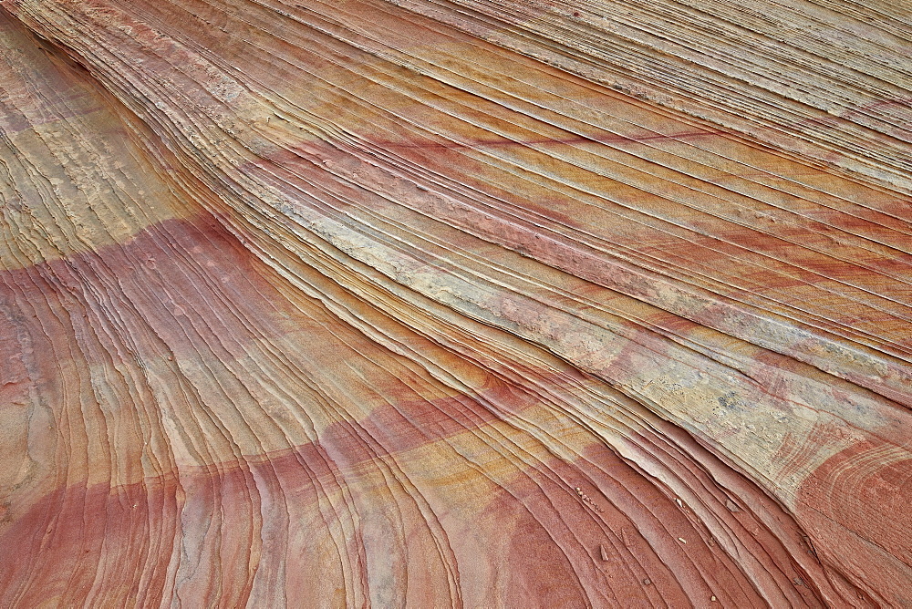 Sandstone layers and lines, Coyote Buttes Wilderness, Vermilion Cliffs National Monument, Arizona, United States of America, North America