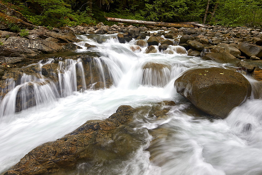 Cascades on Deception Creek, Mount Baker-Snoqualmie National Forest, Washington, United States of America, North America