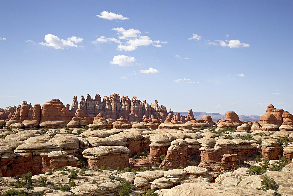 Rock formations, Needles District, Canyonlands National Park, Utah, United States of America, North America