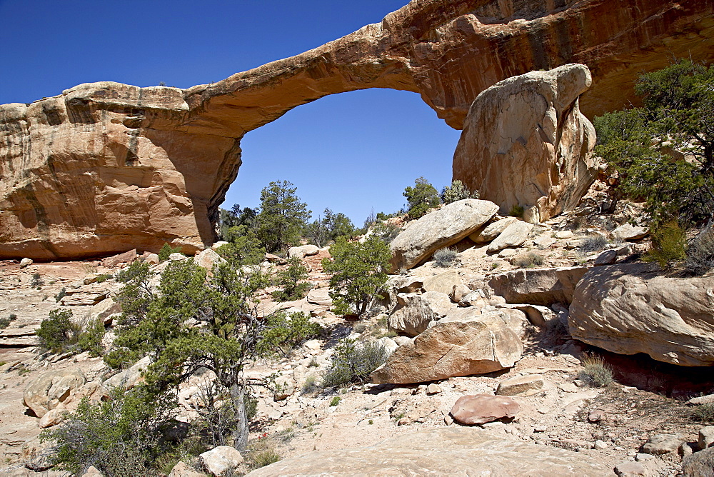 Owachomo Natural Bridge, Natural Bridges National Monument, Utah, United States of America, North America