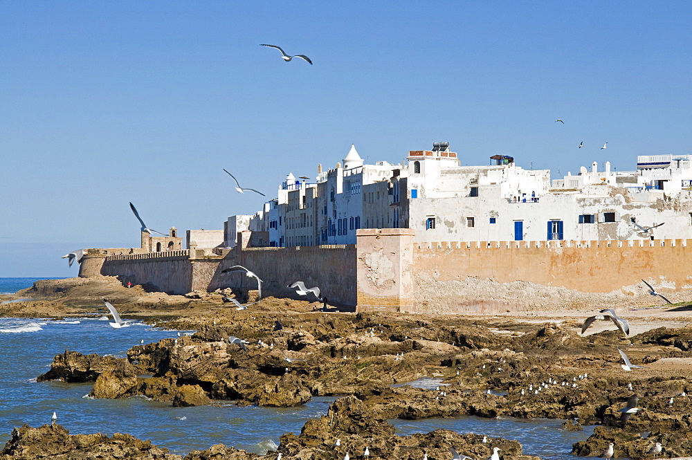 View of the ramparts of the Old City, UNESCO World Heritage Site, Essaouira, Morocco, North Africa, Africa