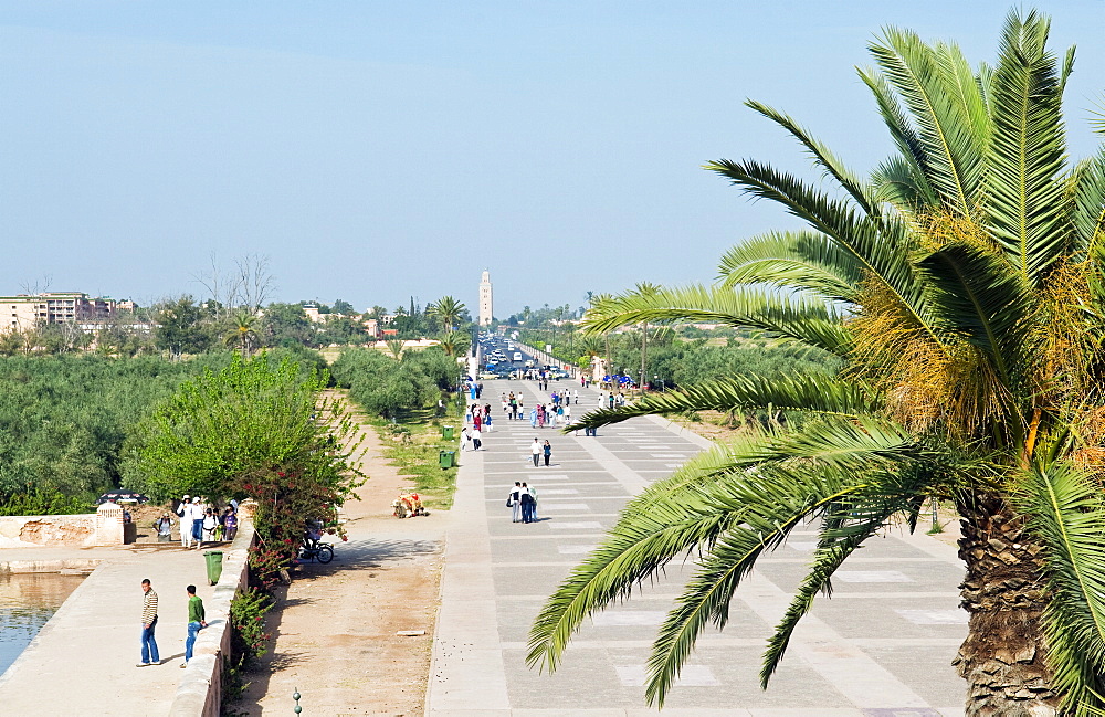 Menara Gardens, Marrakech, Morocco, North Africa, Africa