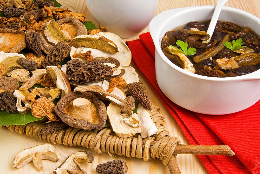 Dried mushrooms, ceps, morels, shitake and chanterelles, Italy, Europe