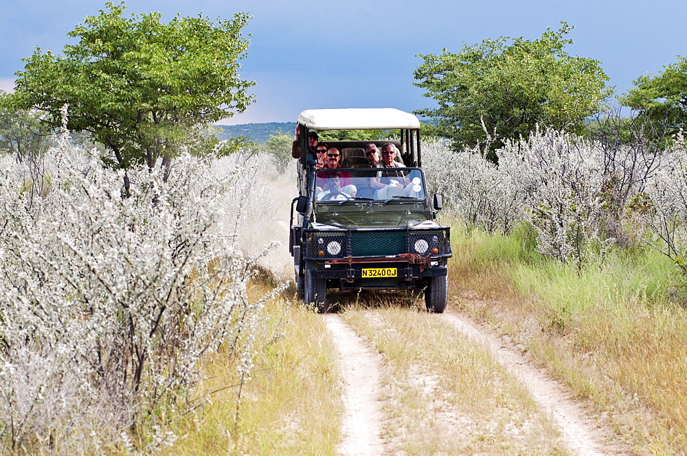 Ongava Game Reserve, Namibia, Africa