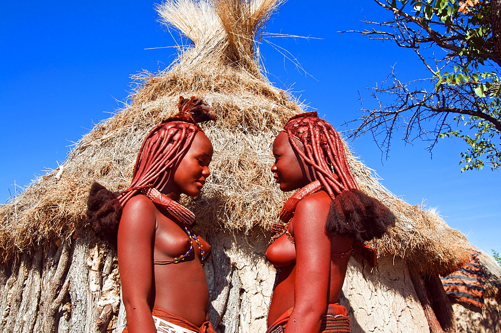 Himba girls, Kaokoveld, Namibia, Africa