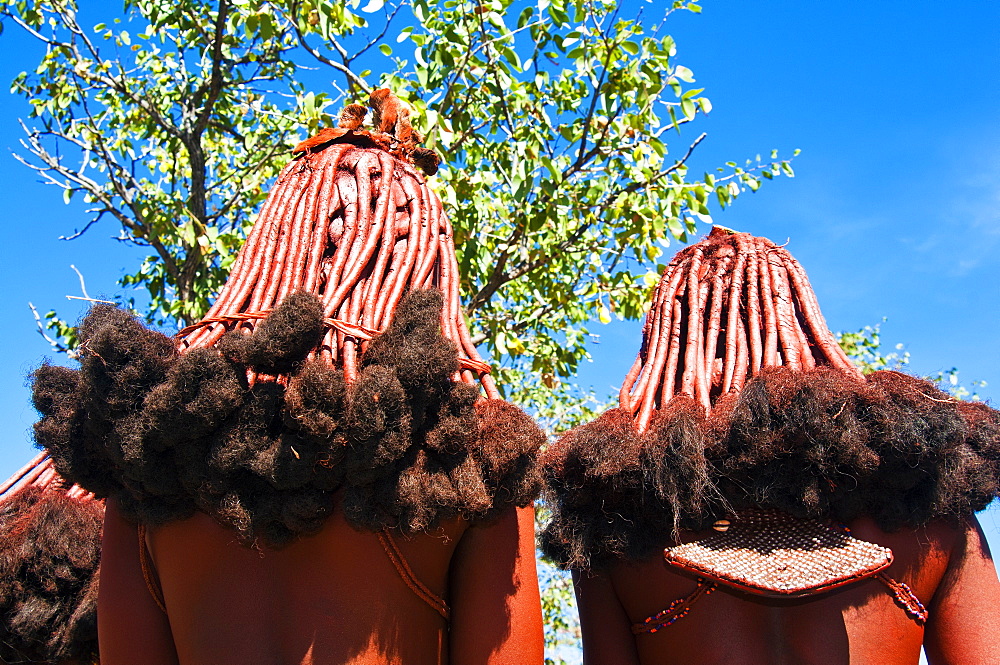 Hairstyle of Himba women, Kaokoveld, Namibia, Africa