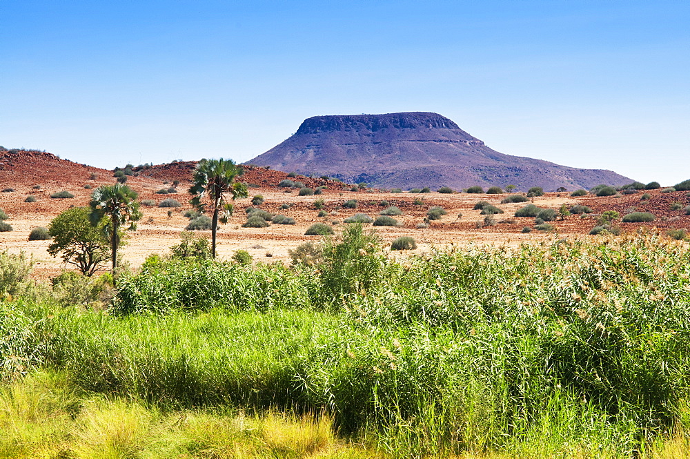 Damaraland, Kunene Region, Namibia, Africa