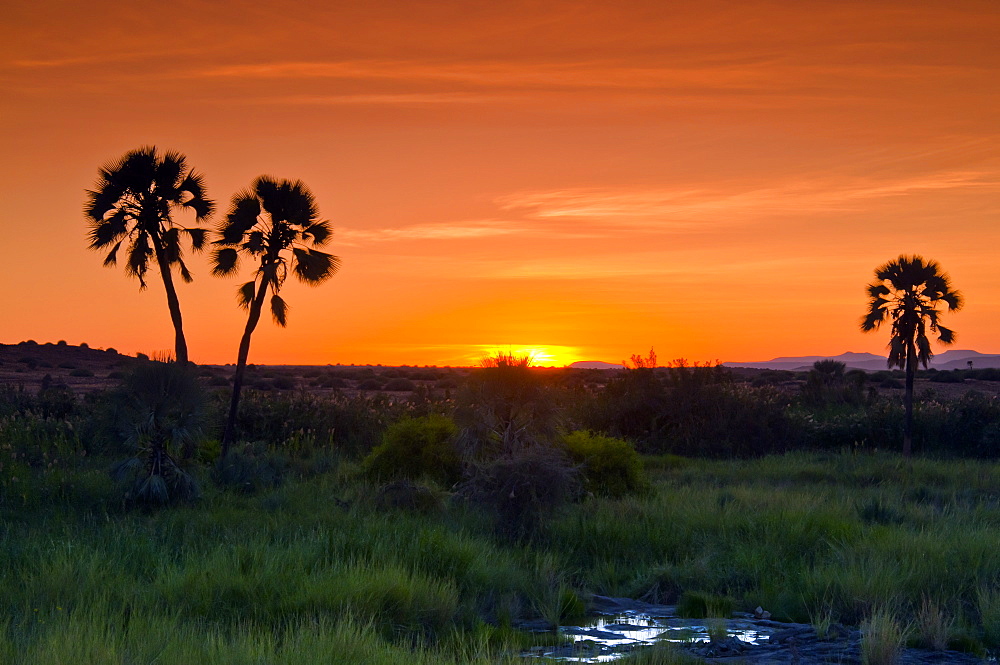 Damaraland, Kunene Region, Namibia, Africa